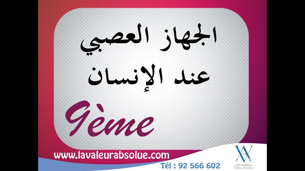 الجهاز العصبي عند الإنسان -  9 اساسي