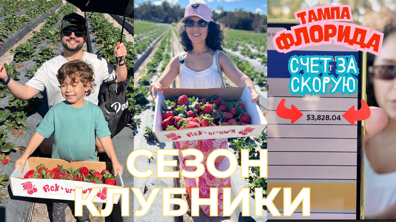 Органическая ферма во Флориде и счёт из скорой 😳 | Реальная жизнь в США