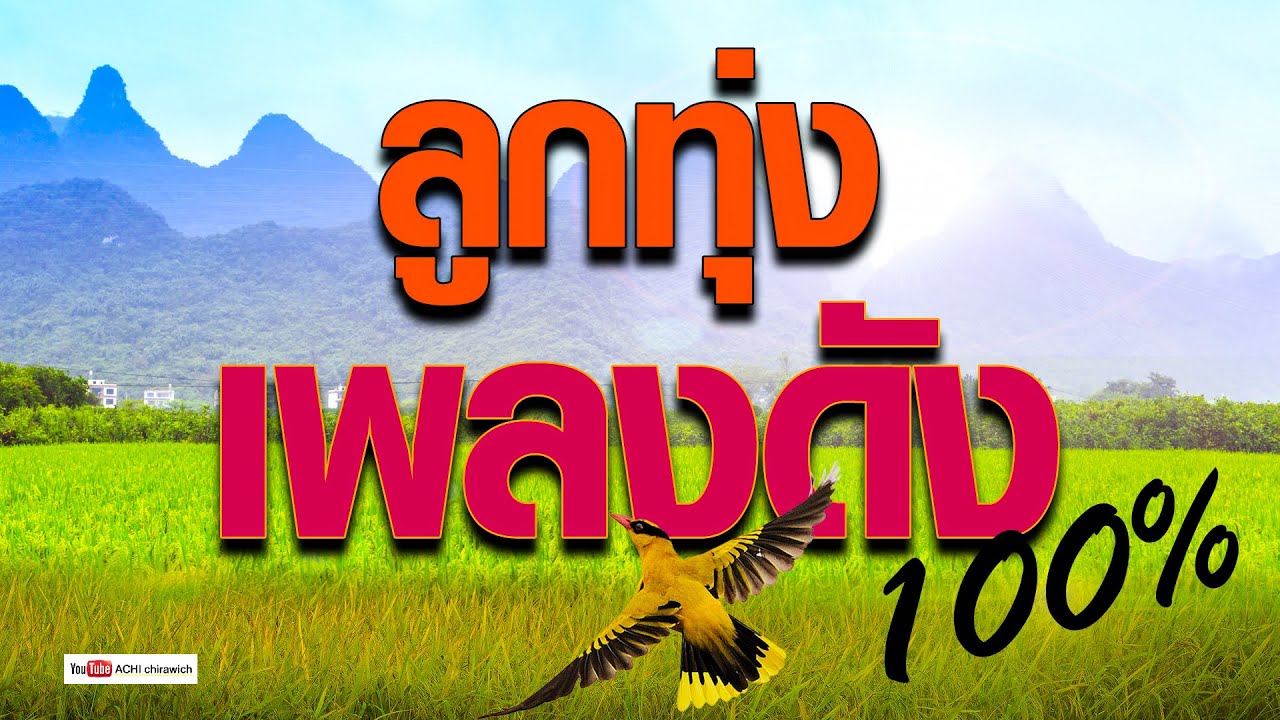 ลูกทุ่ง เพลงดังฟังเพราะๆ 100%  #รวมเพลงลูกทุ่งฟังเพราะ #เสียงดี