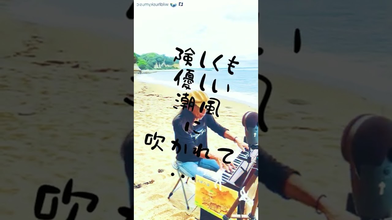September song(K.Weill)🎼covered by WILD HUSKY🎹🍂@五浦海岸9/5レポ📝