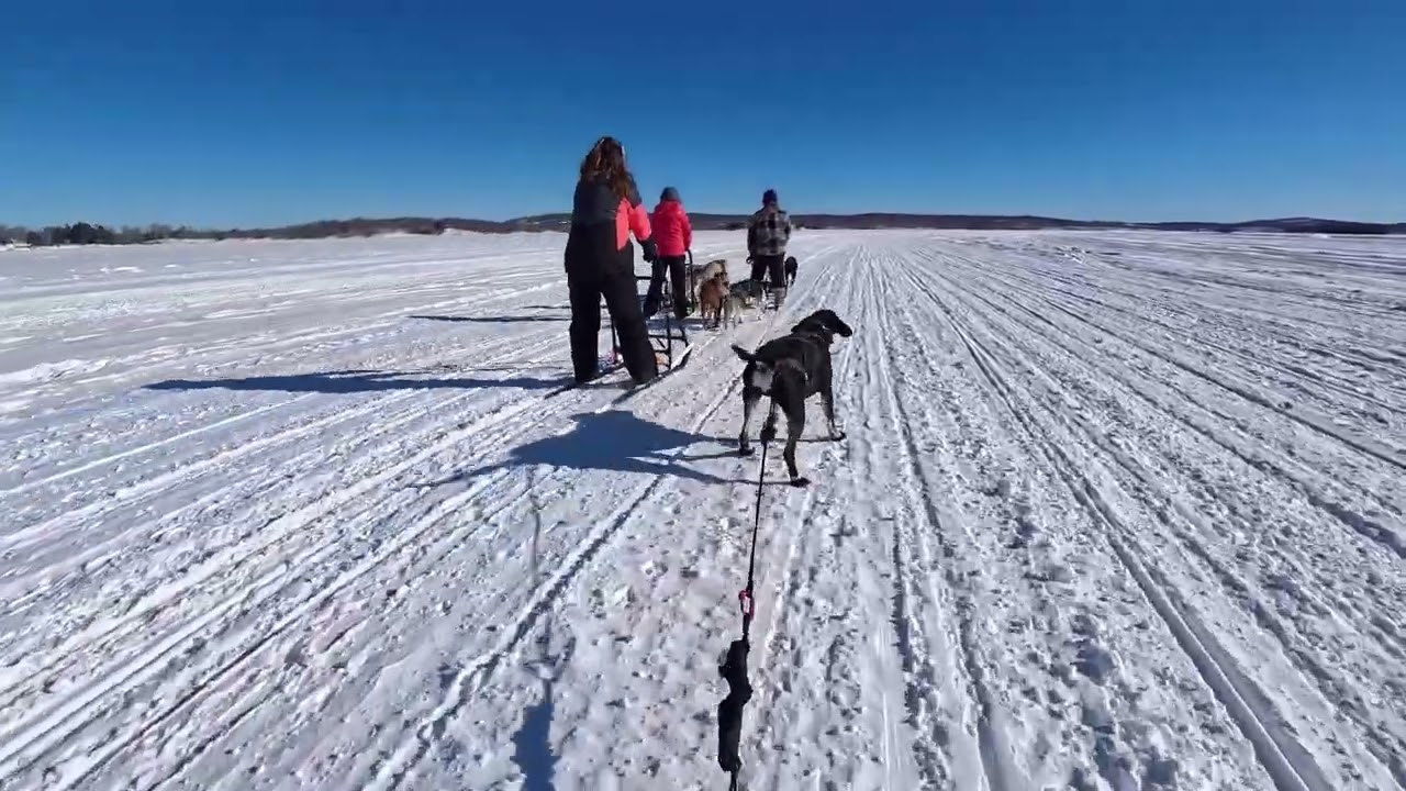 Zsuzsi & Kuruc group sledding on the lake 