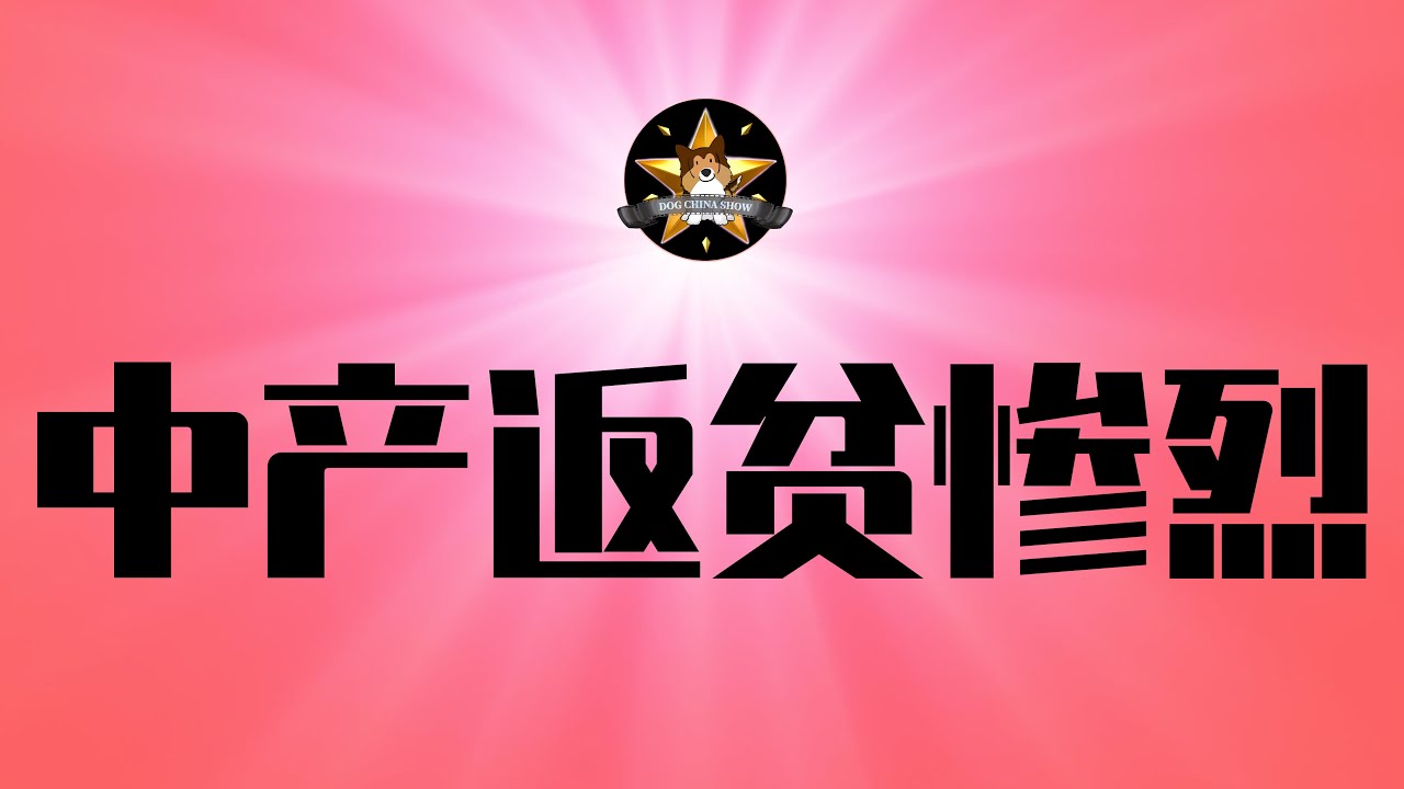 惨烈，中国断供者翻倍！IT行业成重灾区｜大危机时代，你的金融脆弱性如何？中国人，越来越灵活就业了｜房贷｜断供｜楼市房地产｜金融脆弱性｜经济大危机｜就业失业