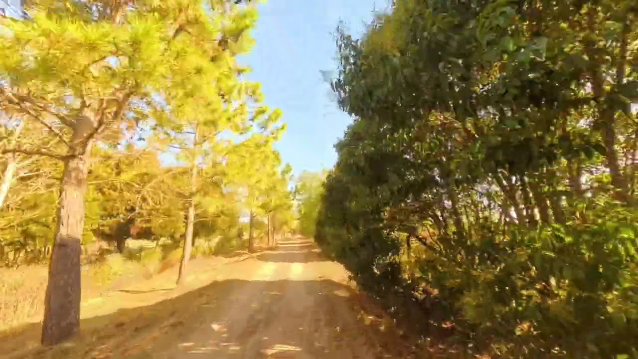 SALIMOS DEL CAMPING