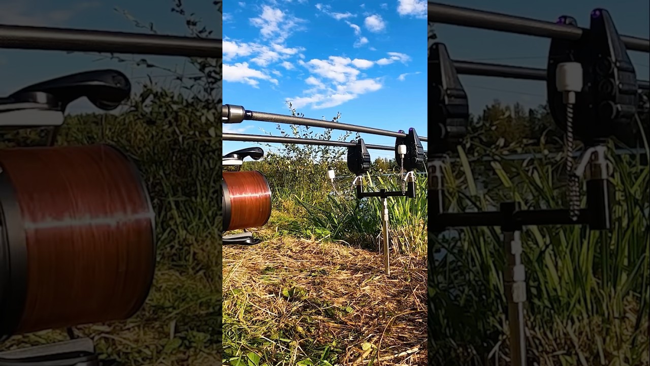 [EXTRACT 3] VLOG #9 ! 