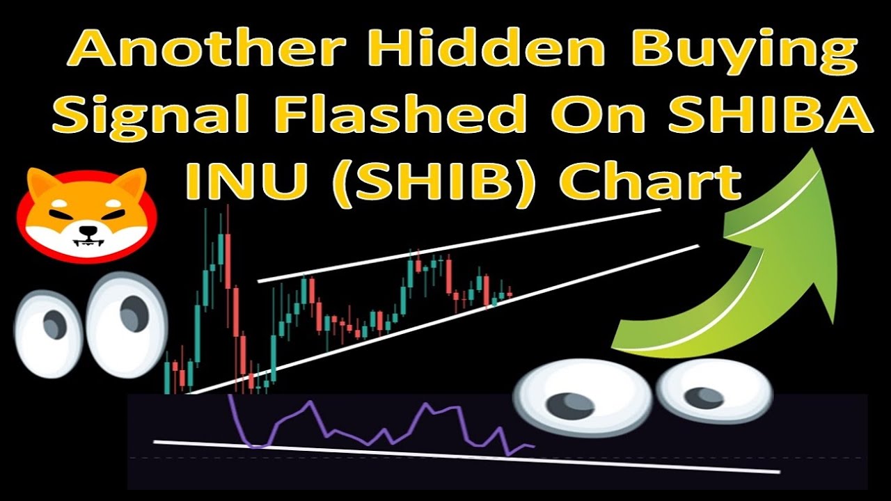Another Hidden Buying Signal Flashed On SHIBA INU (SHIB) Chart