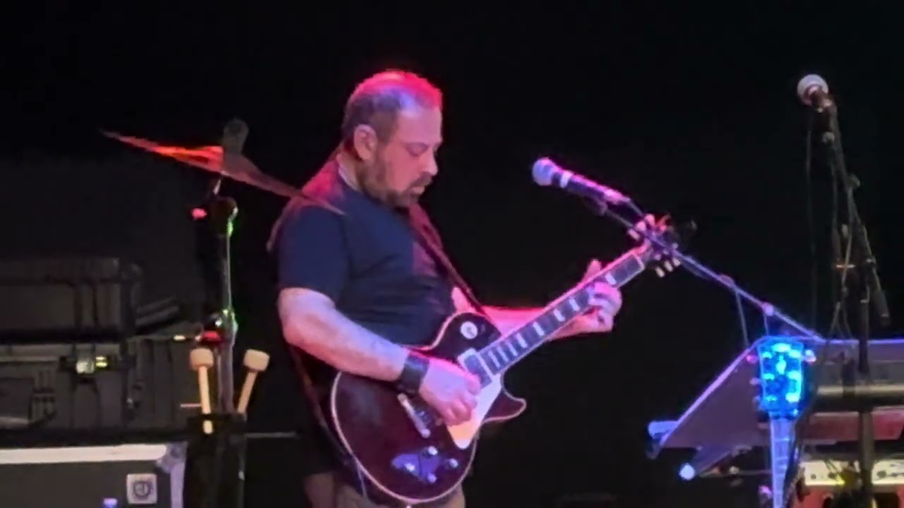 Self n’ Other - Mike Keneally & Beer For Dolphins