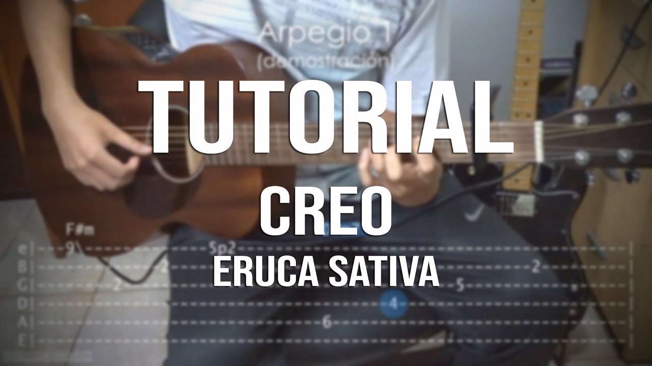 TUTORIAL CREO (Eruca Sativa) | Brunogram