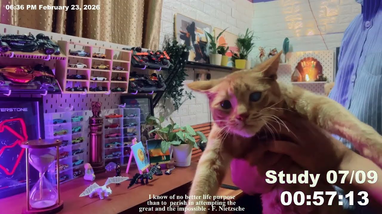 06 Hours Live Study with me | Working UPSC Aspirant |