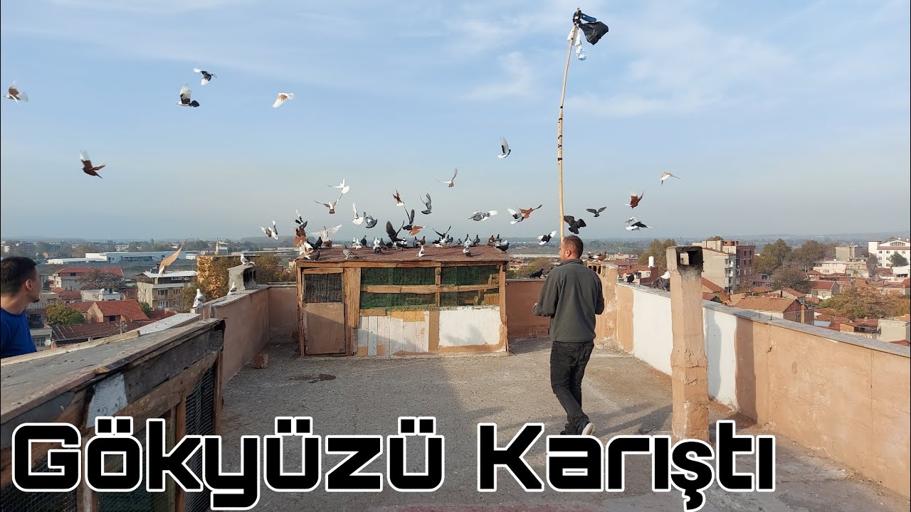 Gökyüzü Karıştı.Kelebek Güvercini Uçuşu. Bursa Mustafa Kemal Paşa Ahmet.Kelebek,Dönek, Dolapçı,Bango