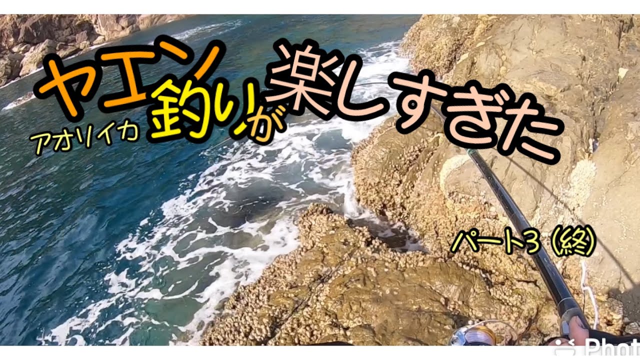 アオリイカ、ヤエン釣りが楽しすぎる！