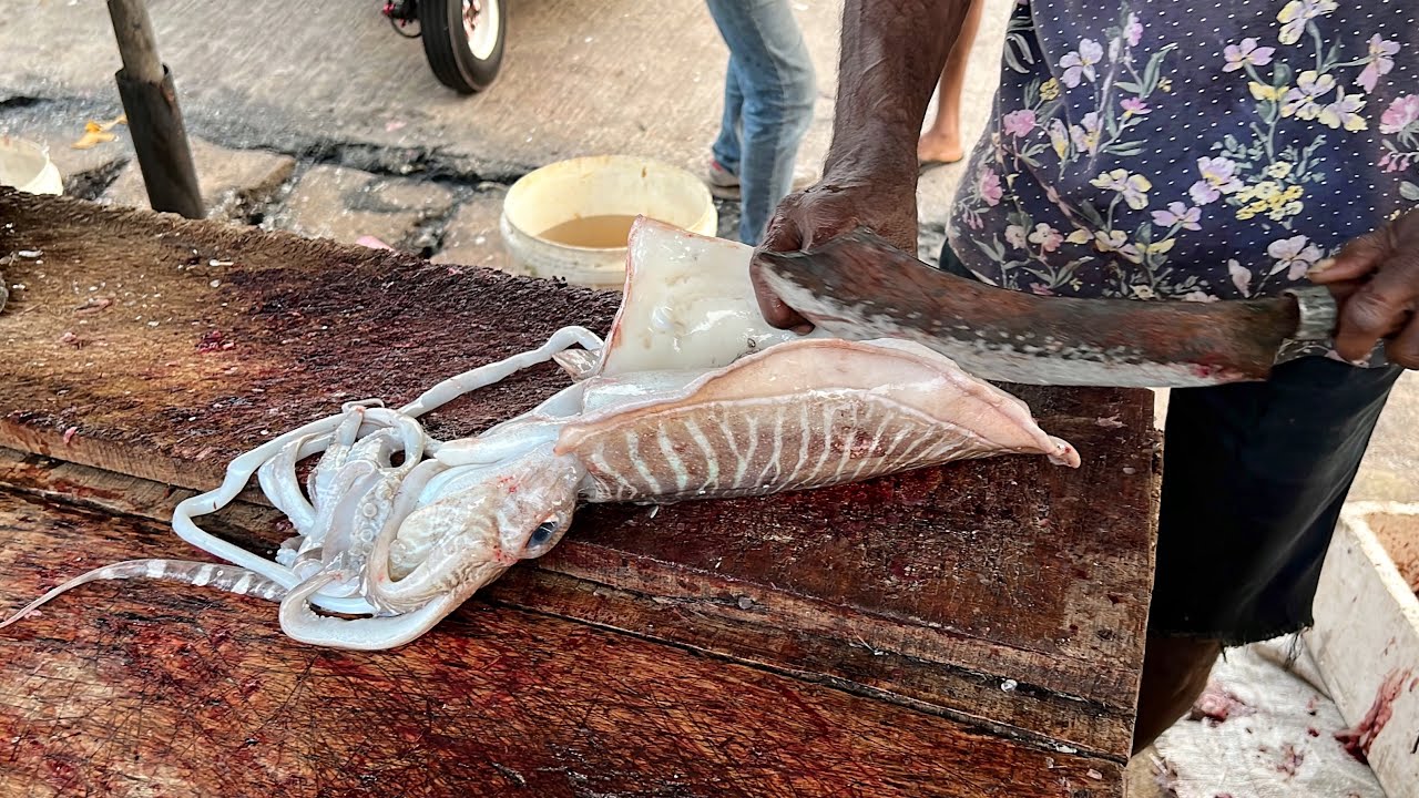 Fresh Cuttlefish Cleaning| How to Clean Cuttlefish