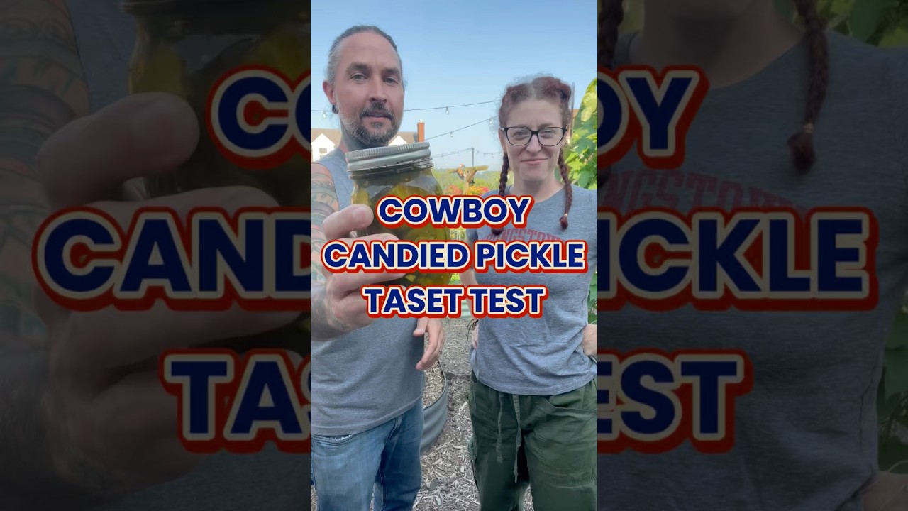Cowboy candied pickle taste test! #gardening #garden #pickles #canning