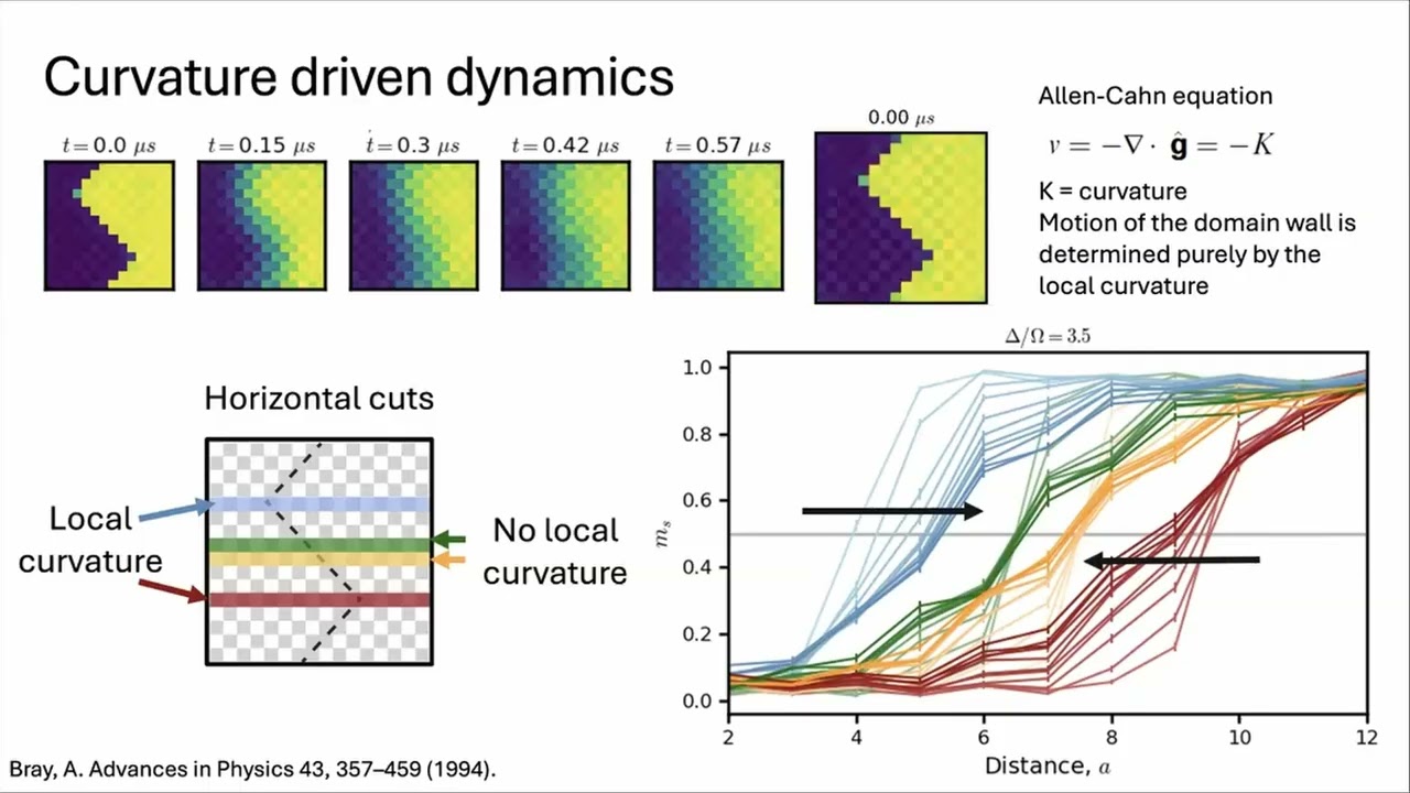 eQMA/HOQE: Sophie Li: Quantum coarsening and collective dynamics on a Rydberg atom array
