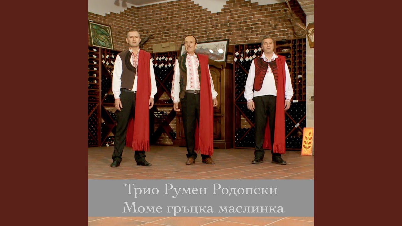 Моме гръцка маслинка
