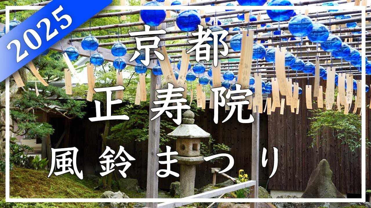 夏の京都 涼を求めて 2025 〜 正寿院 〜 鎌倉創建の古刹。夏には二千個を超える風鈴が涼やかな音色を奏でる風鈴まつりが暑気を払ってくれます[No.584]