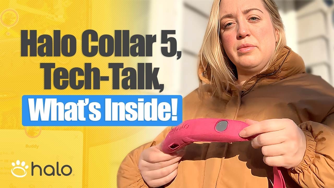 Halo Collar 5 Review: Building a Halo GPS Dog Fence in Minutes | Wireless Dog Fence Demo