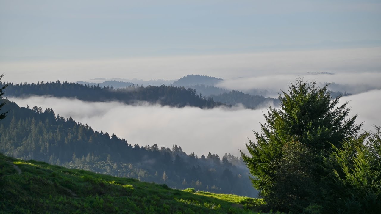 [4K] California Highway 9 Scenic Drive - Saratoga to Boulder Creek
