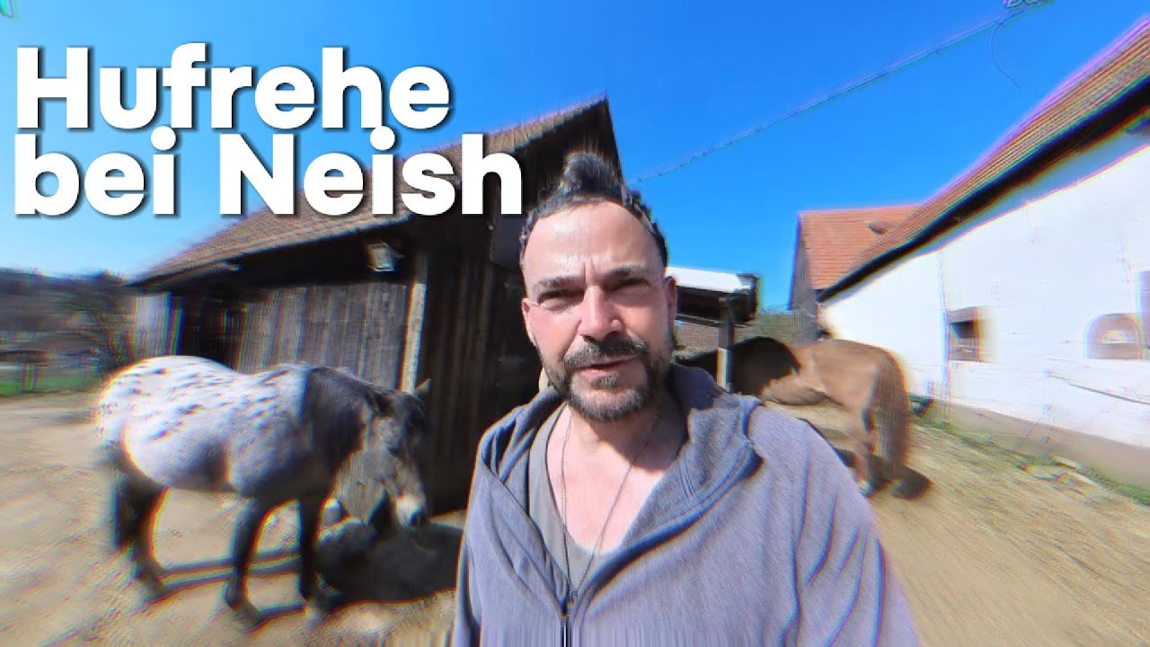 Hufrehe bei Neish: Was passiert ist und wie ich ihr geholfen habe 🐴💔 | Pferde Hoschi