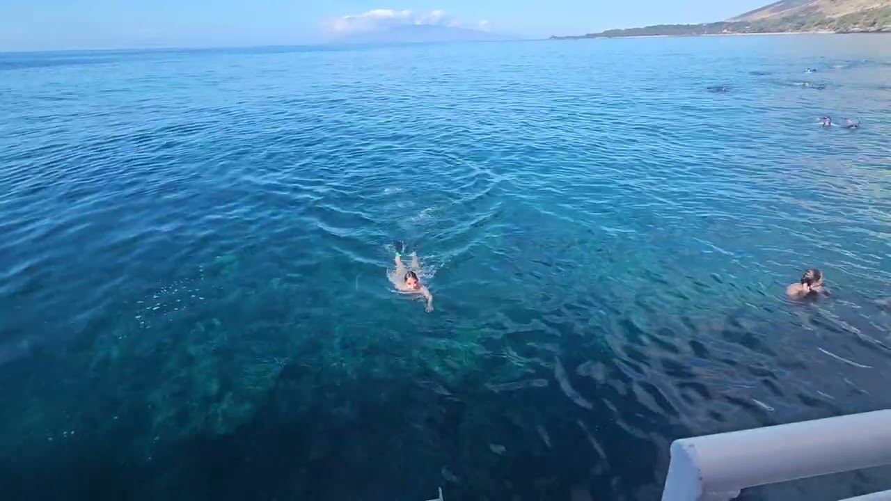 Snorkeling in Maui part 1