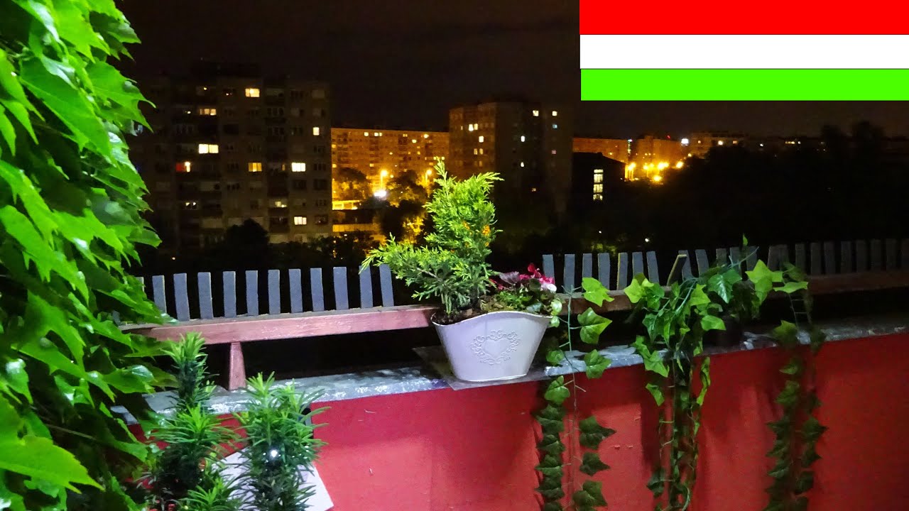 Loggia renovation - Part 3 - For Bryan Adams musics  - Garden on 4 m2 whit new recordings - HD -2021
