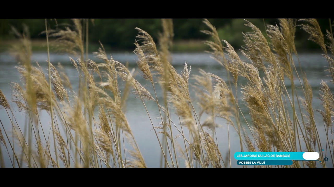 Lac de Bambois &agrave; Fosses-la-Ville | Wallonie, Terre d'eau