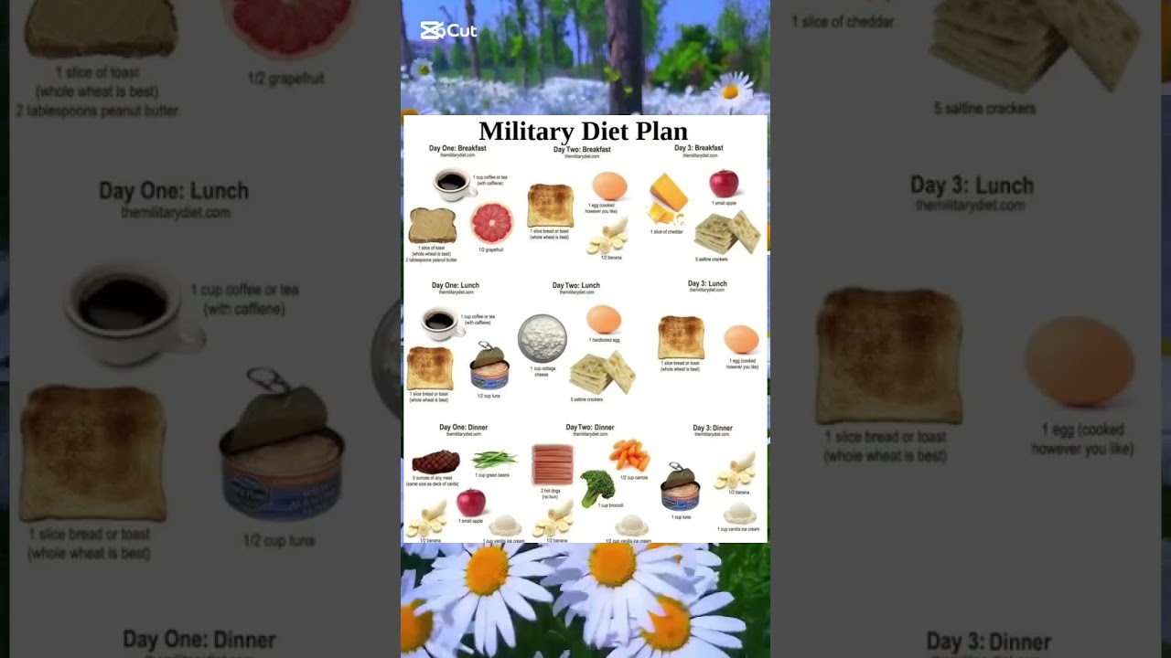 The military diet plan chart for every day