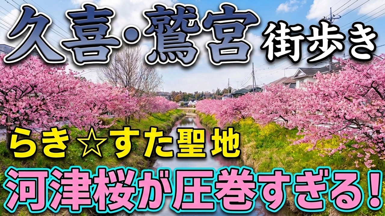 埼玉県久喜市の鷲宮地区を街歩き　青毛掘川の河津桜は圧巻　鷲宮駅→らきすた聖地の鷲宮神社→東鷲宮駅と巡る