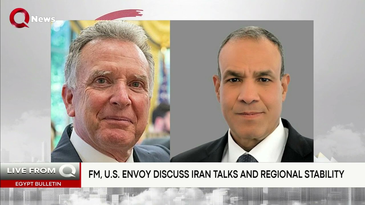 Egypt's FM discusses regional developments with US envoy