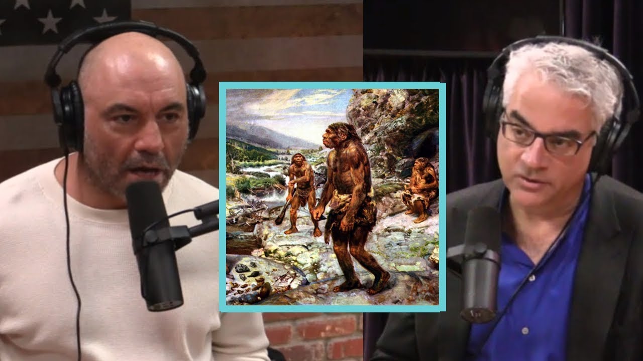 Joe Rogan | Human Self-Domestication Process