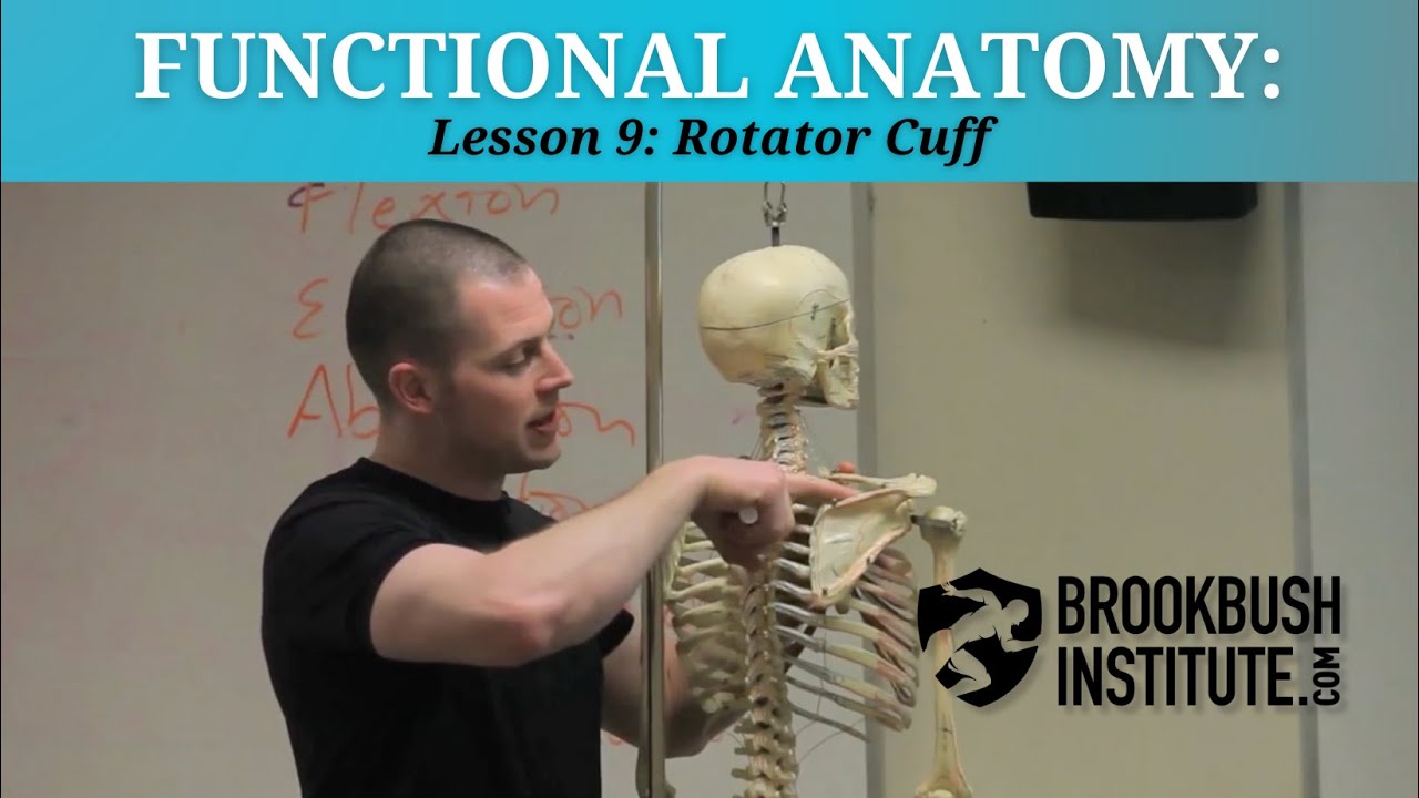 Rotator Cuff and First Exercise Graph