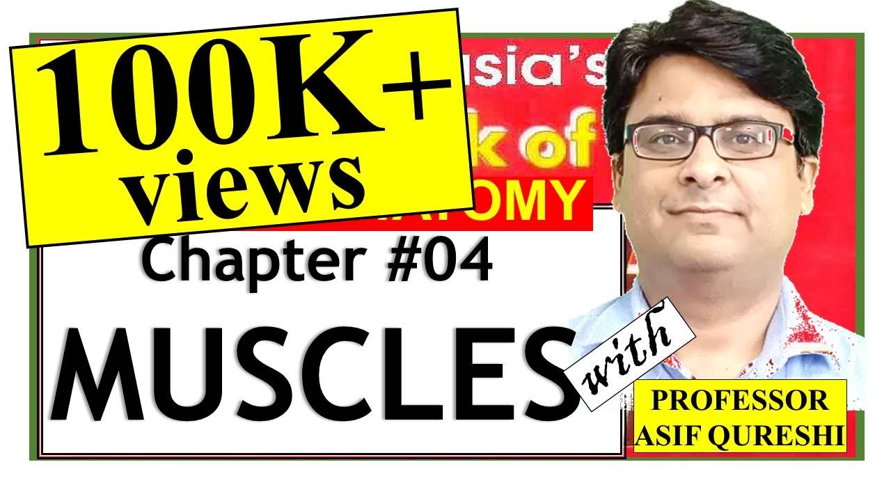 Chapter#4 | BD Chaurasia General Anatomy | Muscles | Dr Asif Lectures