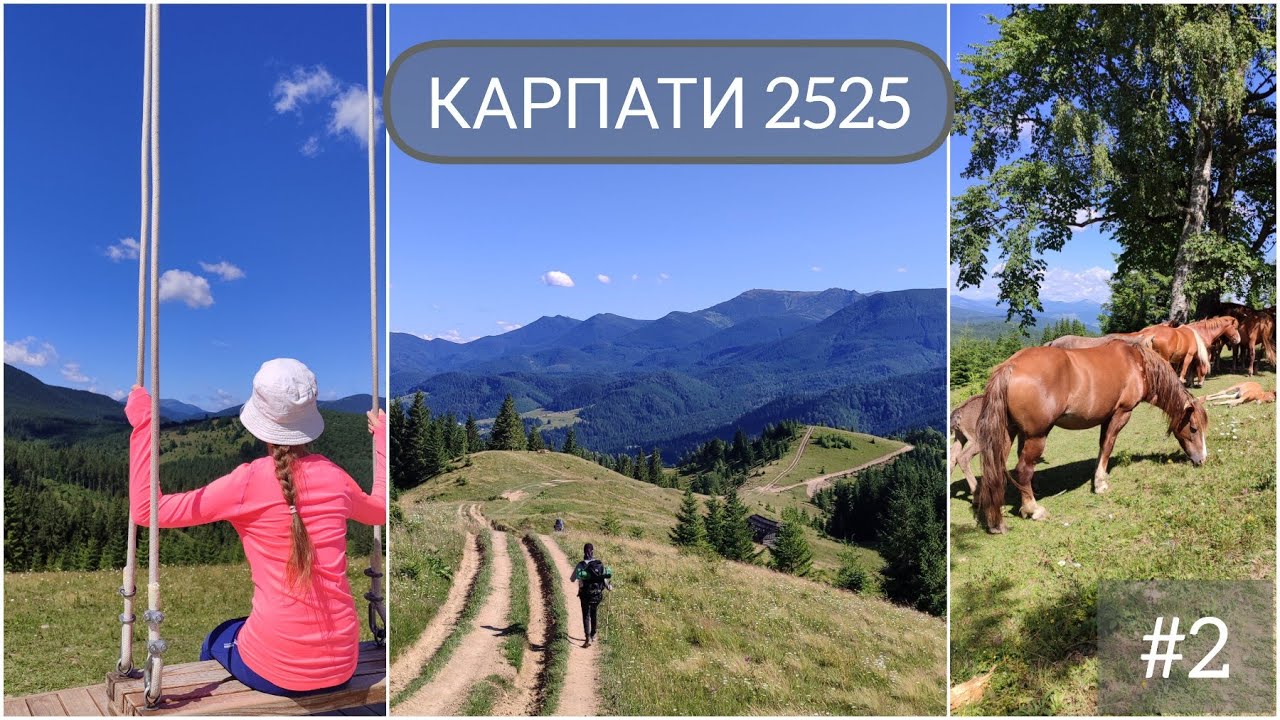 КАРПАТИ 2025. Похід з дітьми. Кривопільский перевал - Хребет Кострич - село Бистрець. 2 серія