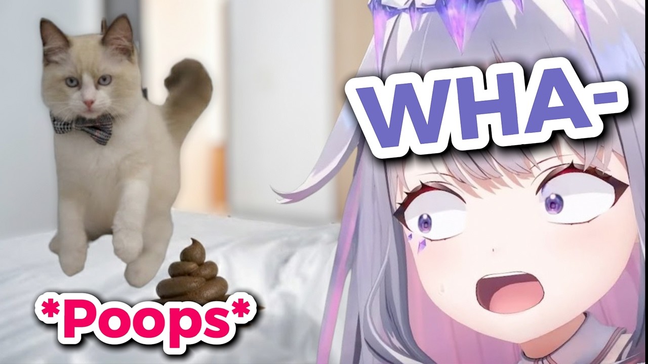 Biboo&rsquo;s New Cat Poops at the WORST Time