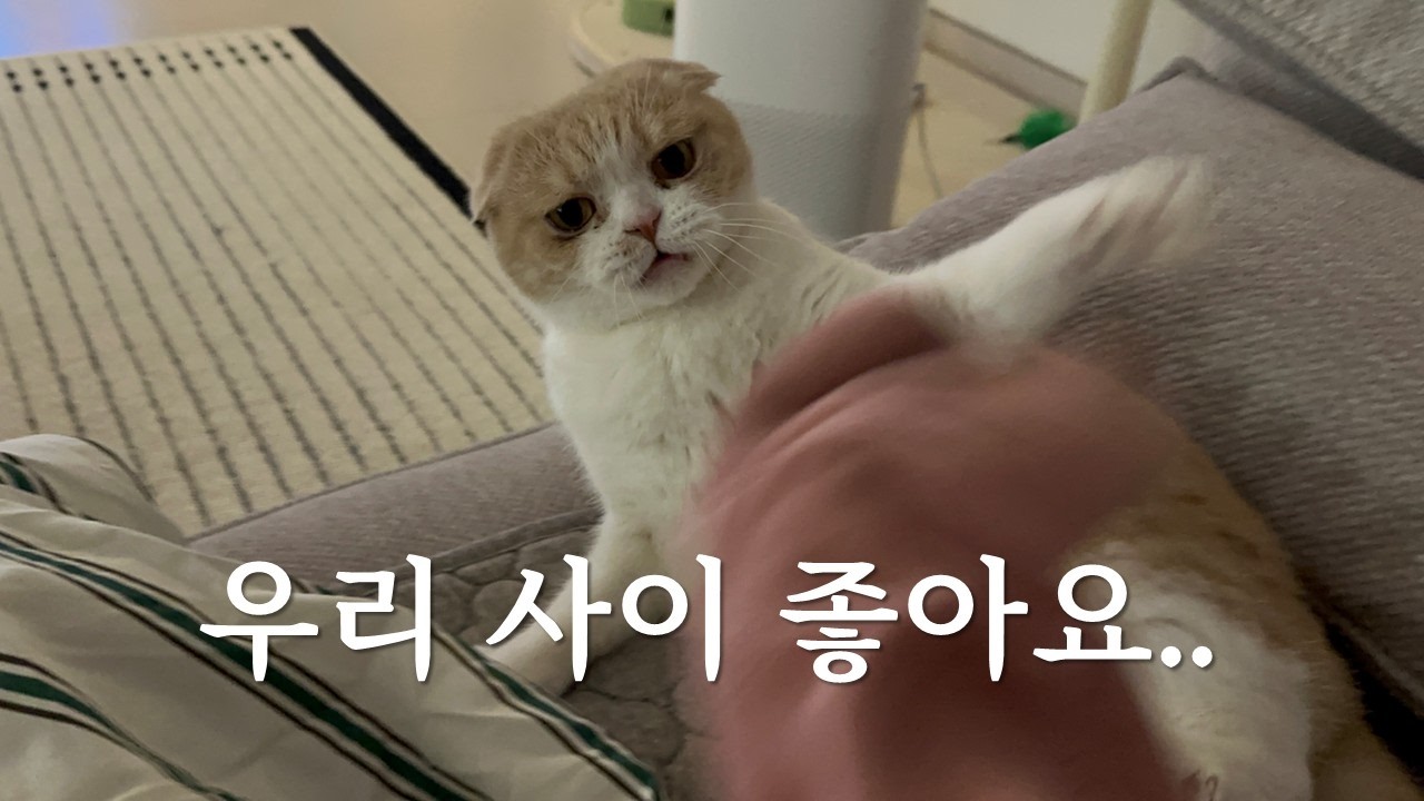 종종 싸우지만(?) 사이는 좋고 애정하는 우리