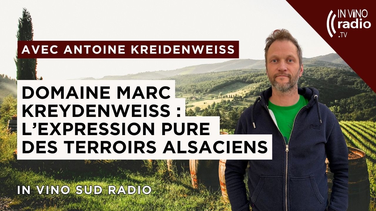 Domaine Marc Kreydenweiss : l’expression pure des terroirs alsaciens
