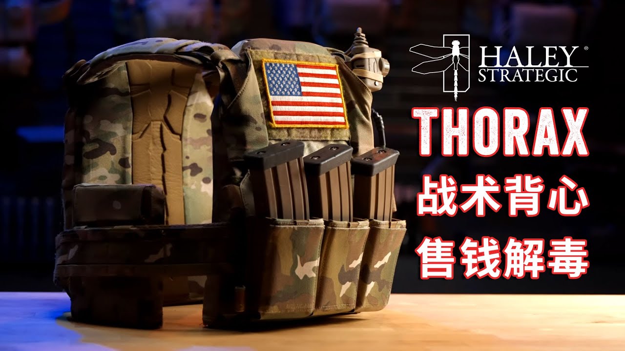 Haley Strategic Thorax Plate Carrier 战术背心售价解读