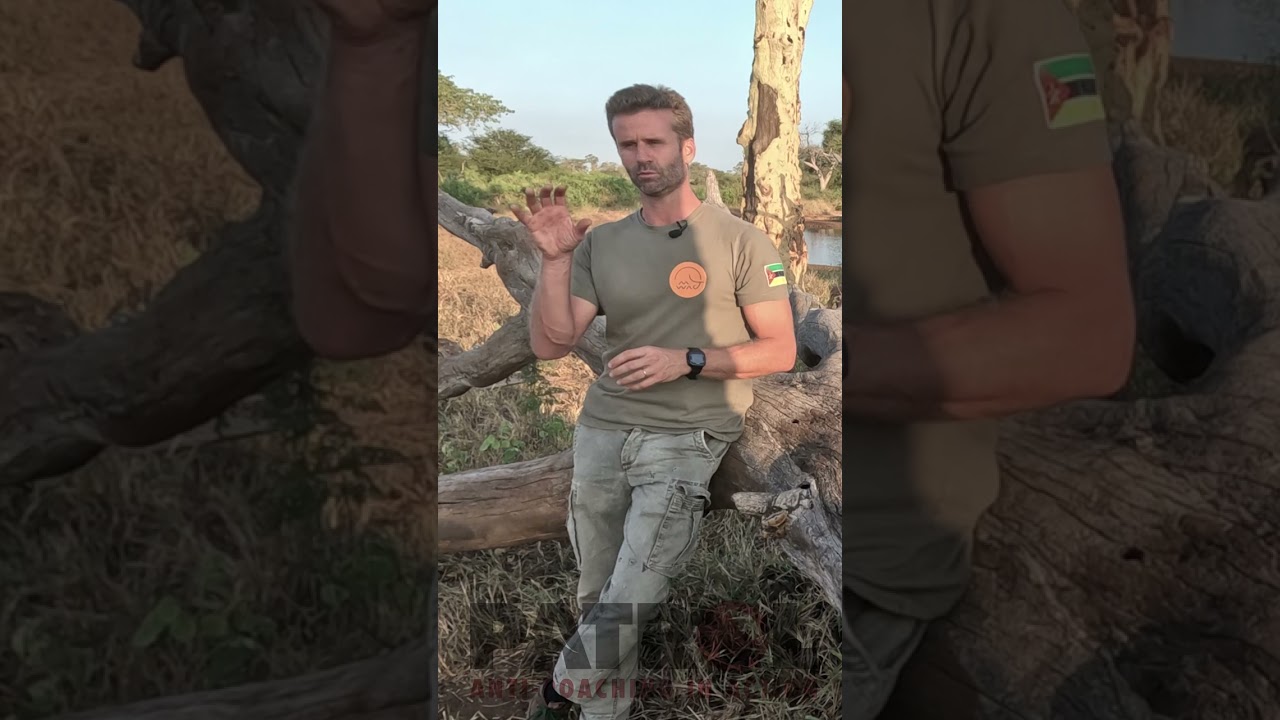 Mitigating human-elephant conflict