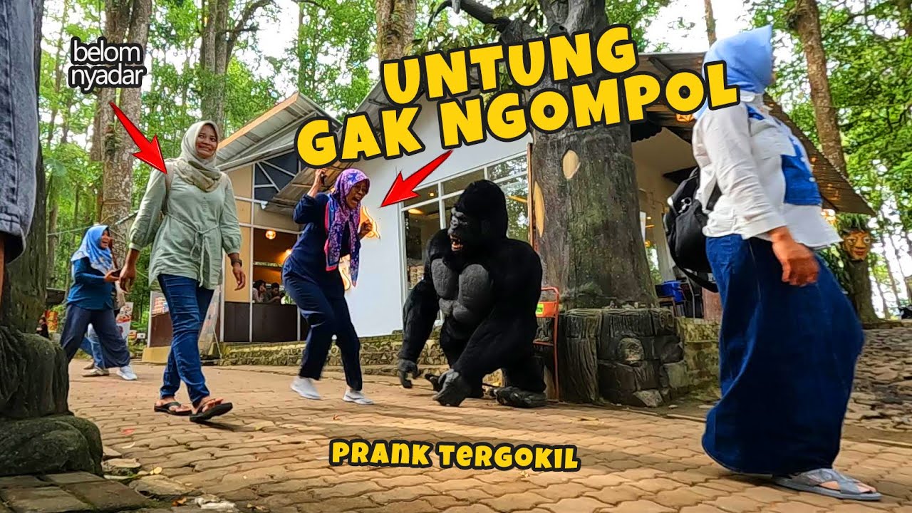 Video lucu II Prank Kingkong Hidup, Bikin jantungan #prank