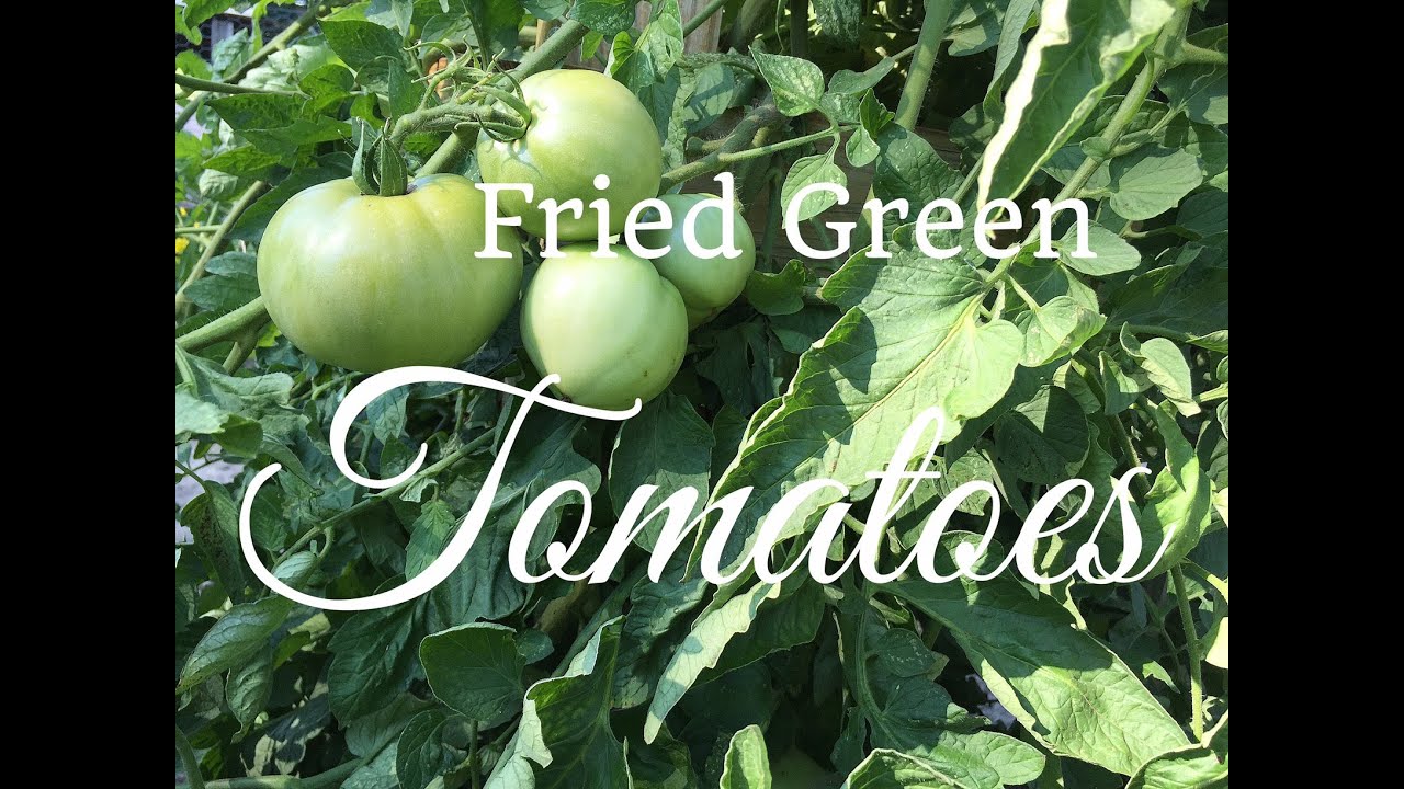 Easy Fried Green Tomatoes