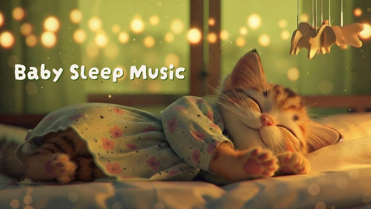 아기가 5분 만에 잠드는 오르골 2시간 💤 Relaxing Lullaby | 꿈나라행 급행 열차