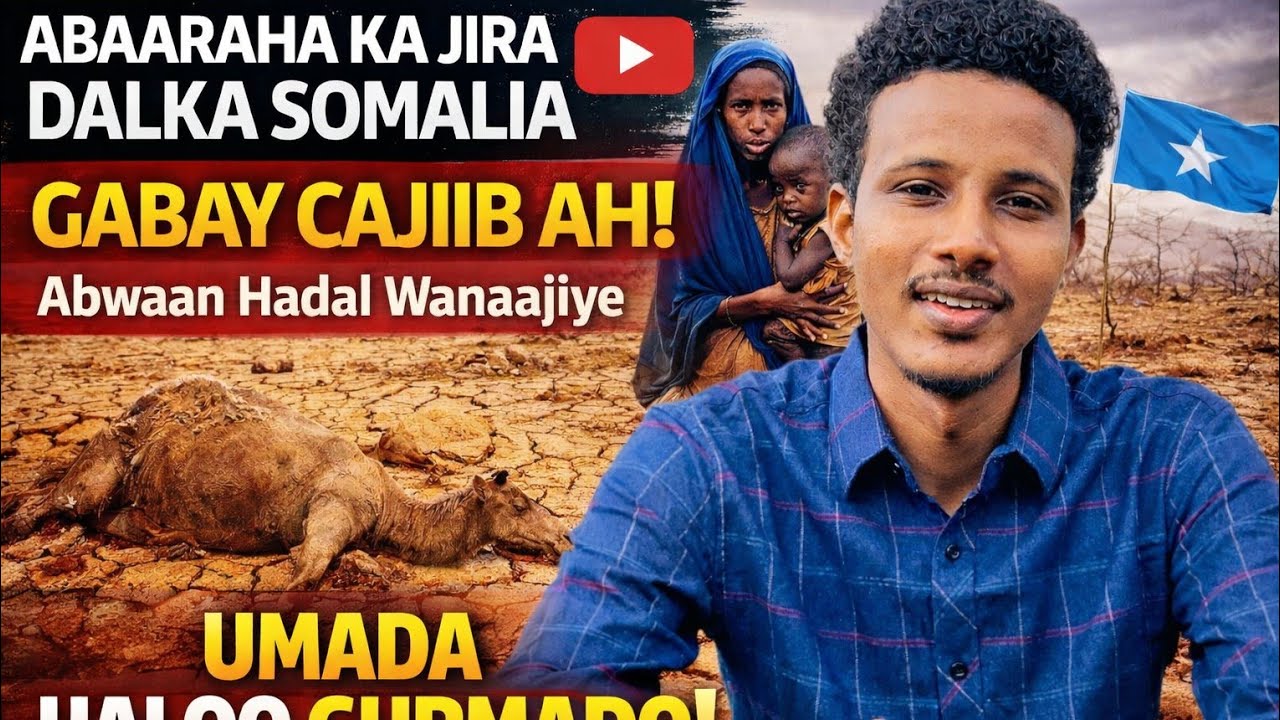 GABAY KU SOCDA UMADA SOMALIYEED  ABWAAN HADAL WANAAJIYE  /////  DAAWO 