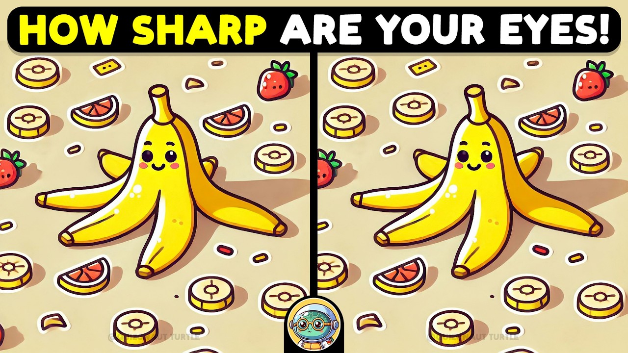 🐢🧩 Spot The Difference | Test Your Detective Skills 🧩🐢 | Quizonaut Turtle