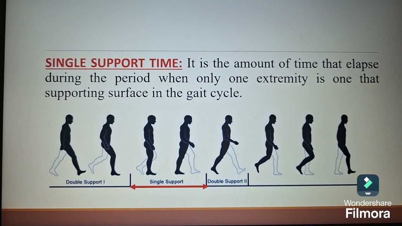GAIT PARAMETERS