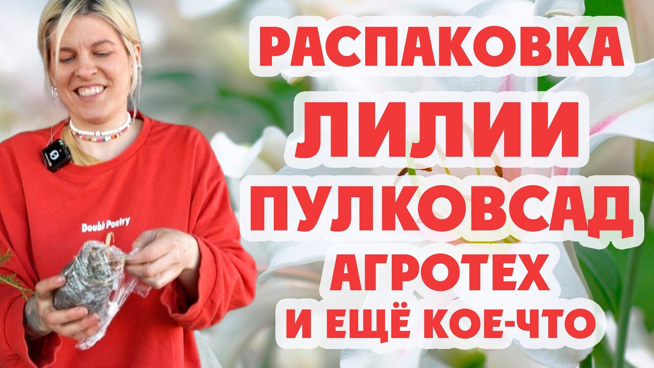 Посылка с лилиями пришла. Ураааа! ПУЛКОВСАД удивил очень!