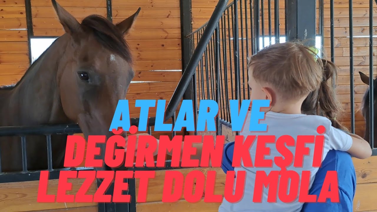 ATLAR VE SU DEĞİRMENİ