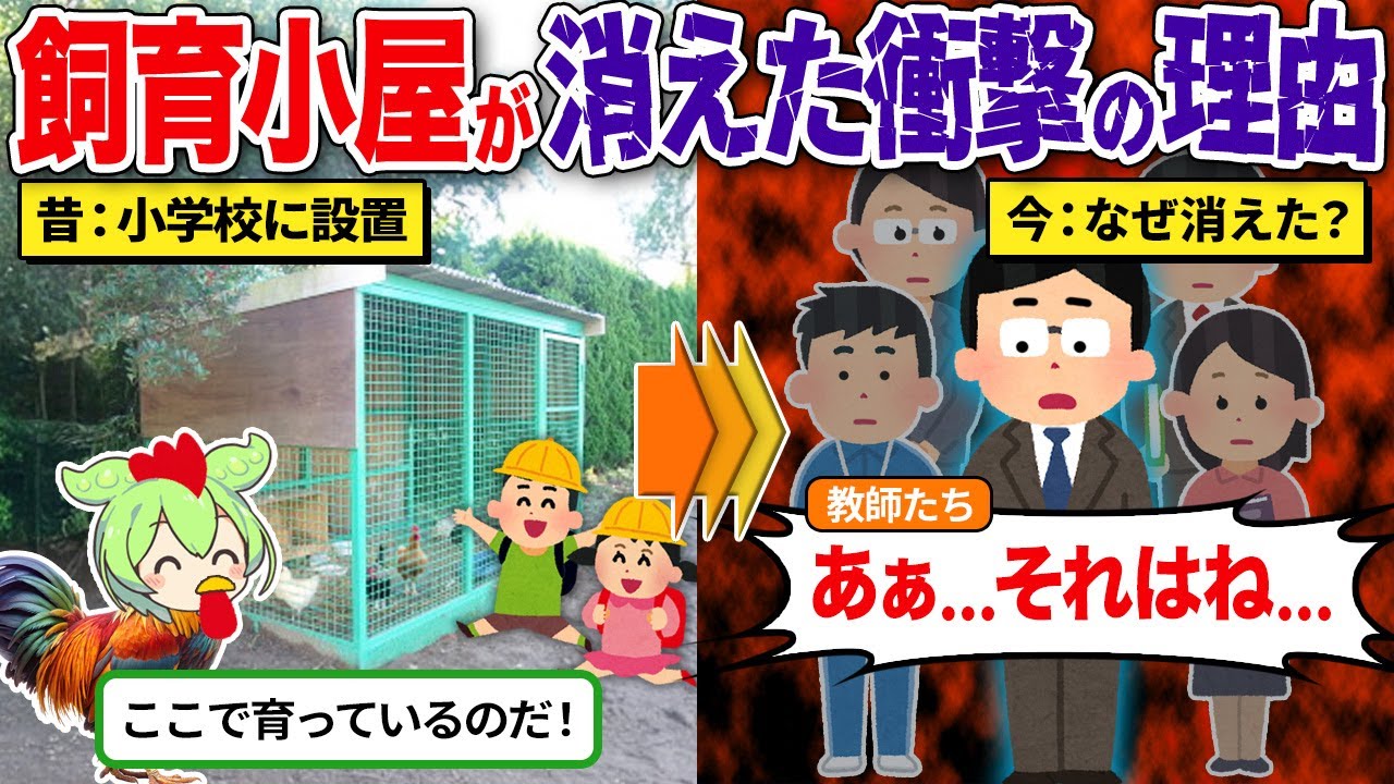 日本の学校から「飼育小屋」が消えている衝撃の理由とは…？