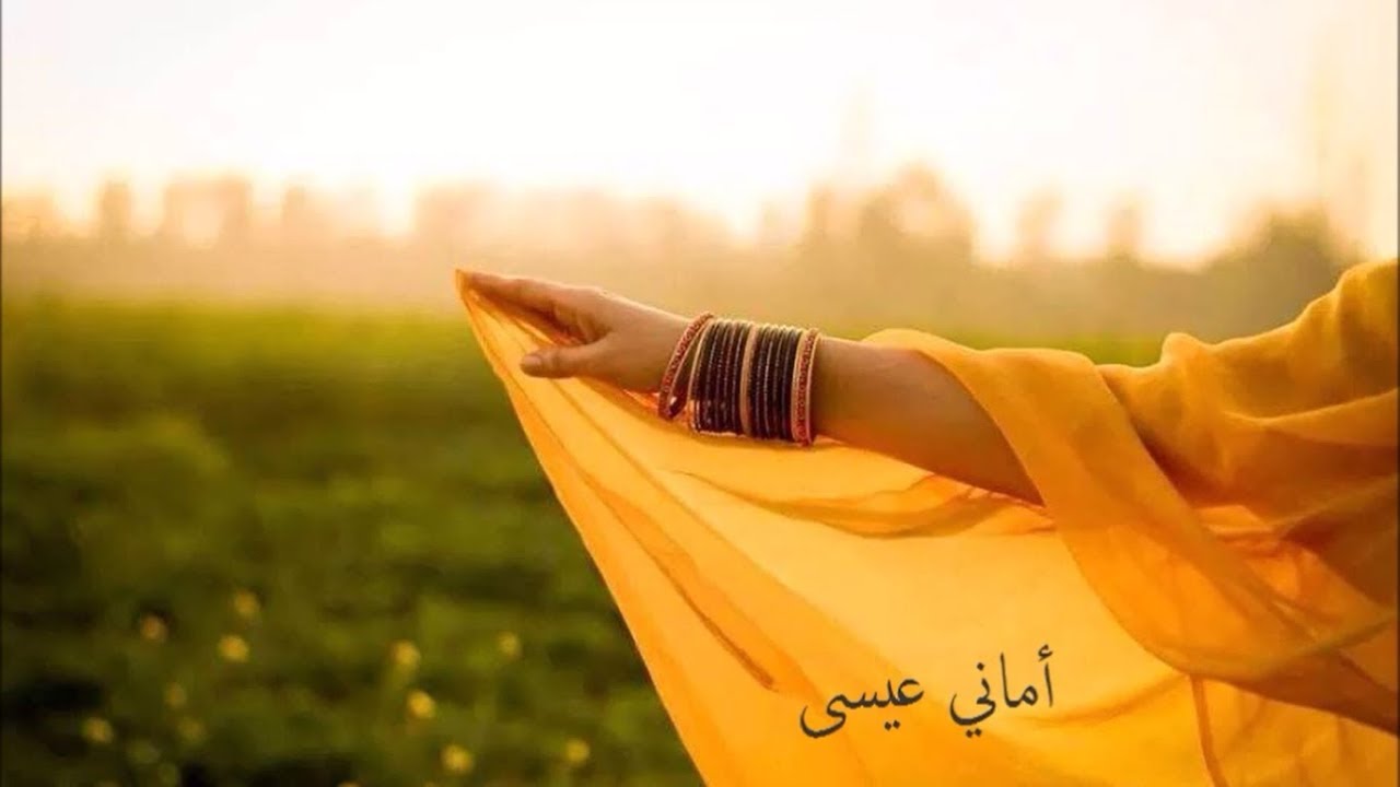أبحث عن جناحيّ .. إقرا بودانك