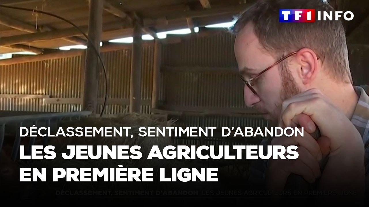 Déclassement, sentiment d'abandon : les jeunes agriculteurs en première ligne