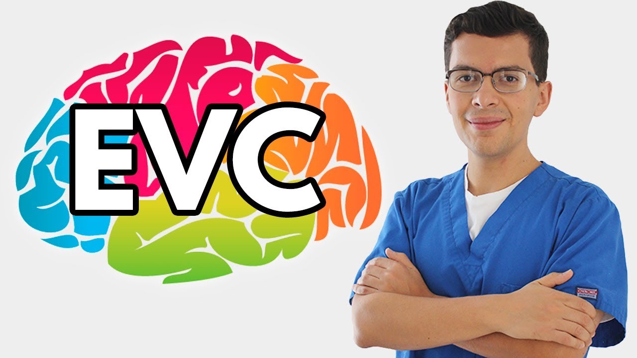 &iquest;Qu&eacute; es un Evento Vascular Cerebral? | Neuropsic&oacute;logo Quer&eacute;taro