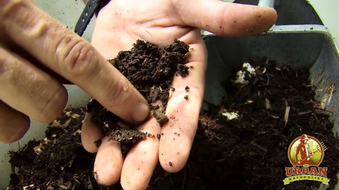 Vermicomposting